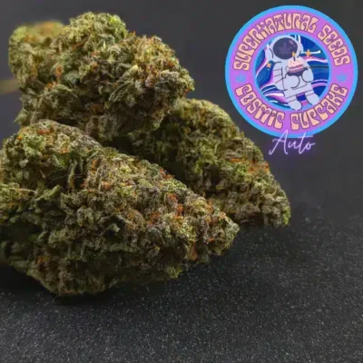 Supernatural Seeds – Cosmic Cupcake Strain – Fem Auto