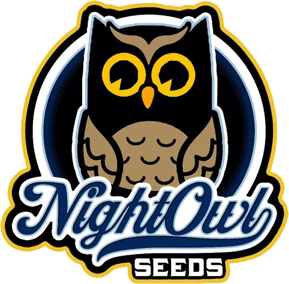 Harvey Wallbanger Auto | Night Owl Seeds | FEM Autoflower Seeds