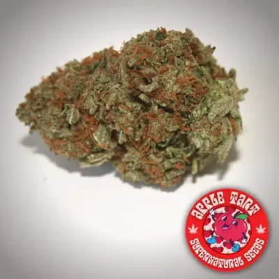 Supernatural Seeds - Apple Tart Strain - Fem Photo