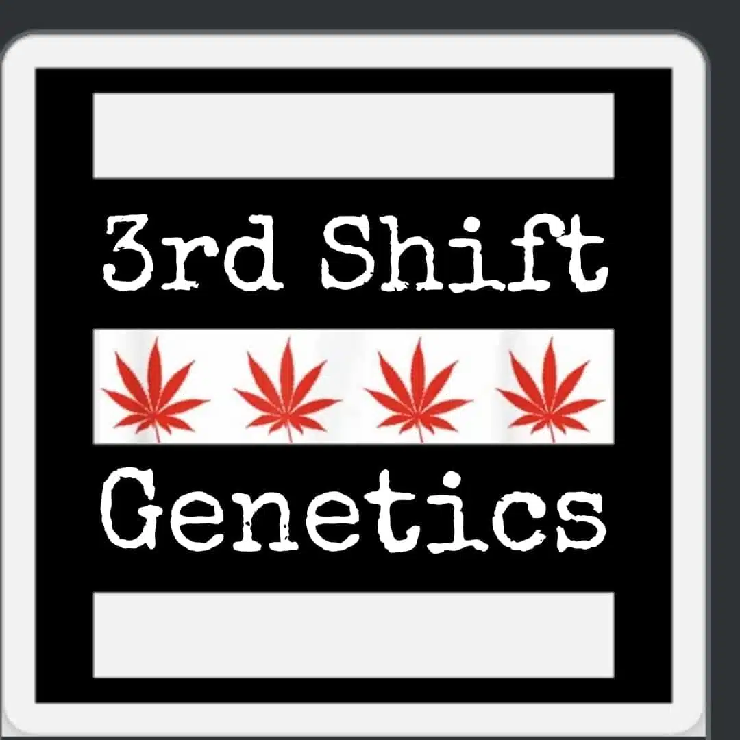 Alien Tie Auto | 3rdShiftGenetics | FEM Autoflower Seeds
