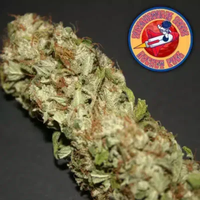 Supernatural Seeds – Rocket Fuel Strain – Fem Auto