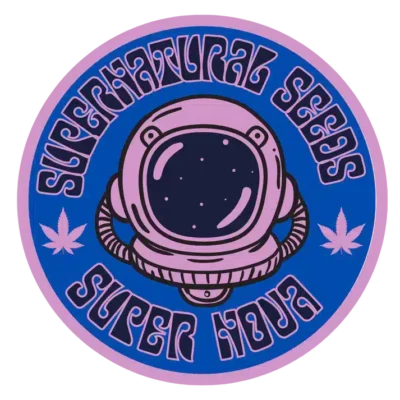 Supernatural Seeds – Supernova Strain – Fem Auto