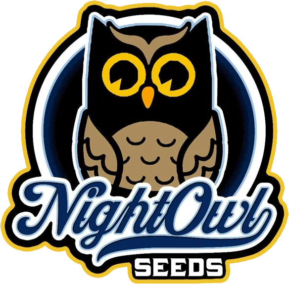Compound V Auto | Night Owl Seeds | FEM Autoflower Seeds