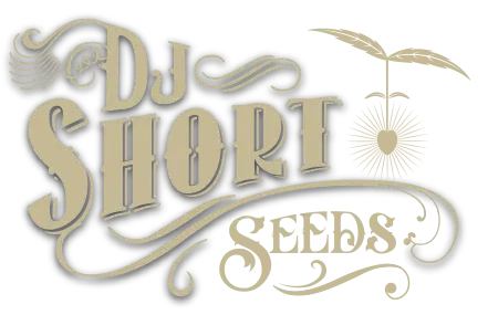 DJ Short Seeds