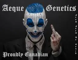 Aeque Genetics logo
